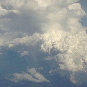 Meet your Posher, Brady